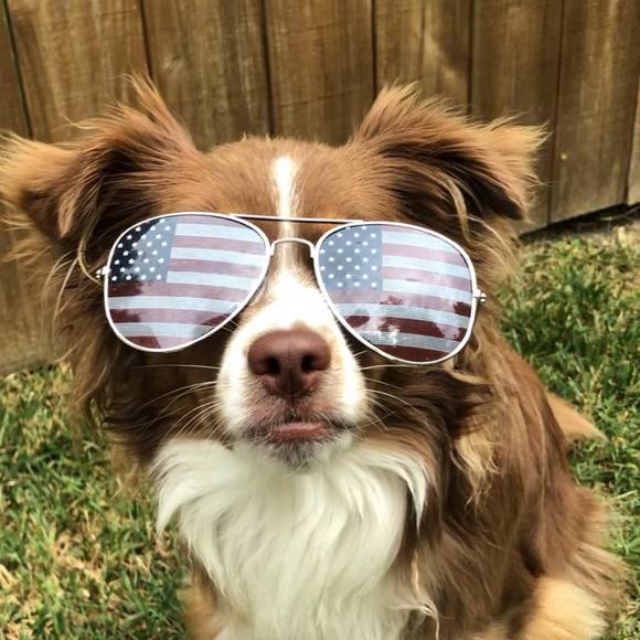 Meet your Posher, Jen - Picture 1 of 1